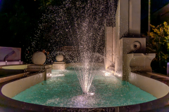 DSC4228-Enhanced-NR.jpg