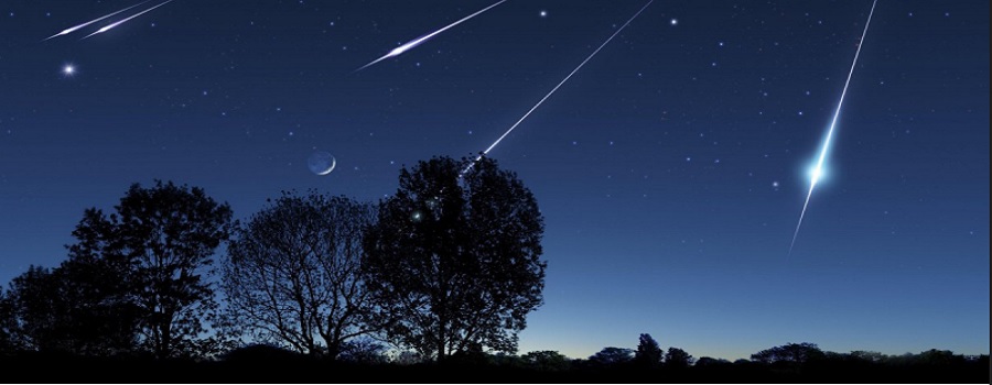 stelle cadenti