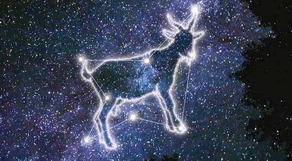 La capra vicino al cielo